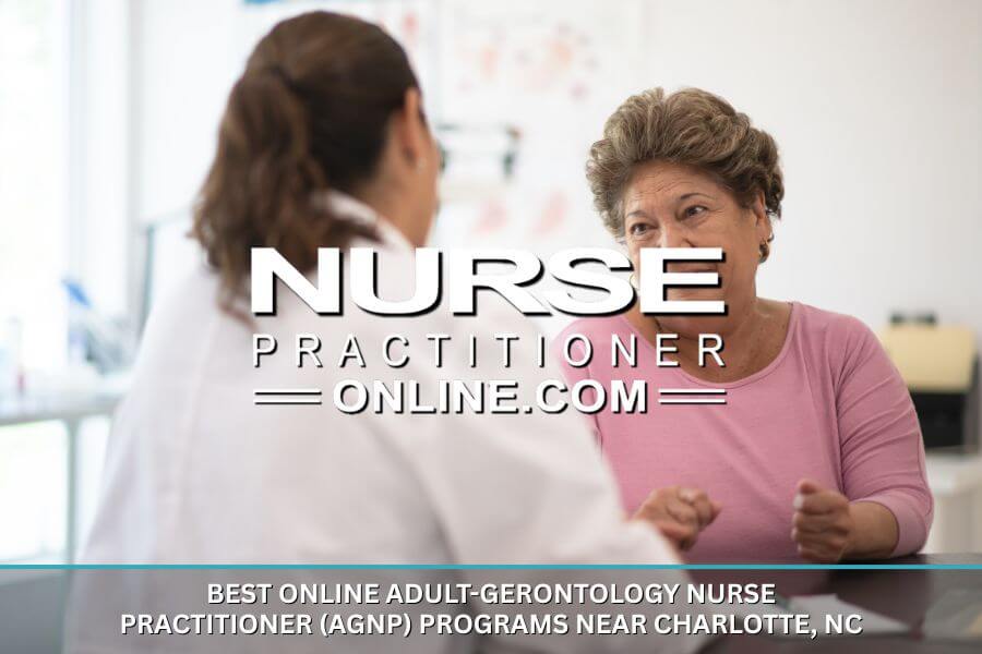 An Adult-Gerontology Nurse Practitioner working with an elderly patient