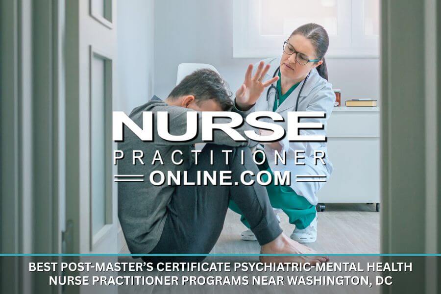 A Psychiatric-Mental Health Nurse Practitioner helping a patient with a mental disorder
