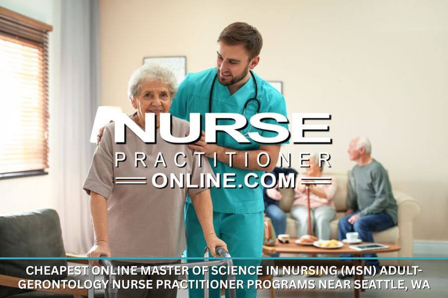 An Adult Gerontology Nurse Practitioner working with an elderly patient. Affordable Online MSN AGNP Programs near Seattle, WA