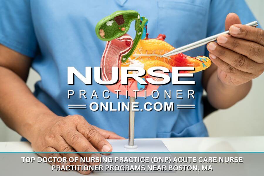 A nurse practitioner working on an anatomical teaching model. Boston’s Top DNP ACNP Programs – Accredited Doctor of Nursing Practice