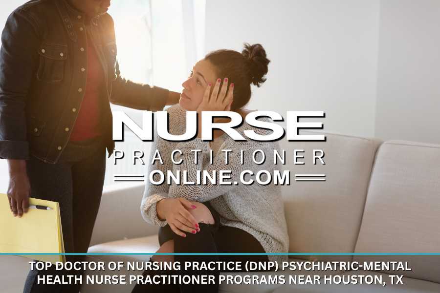A DNP PMHNP holding a file folder meets with an adult mental health patient in an office.