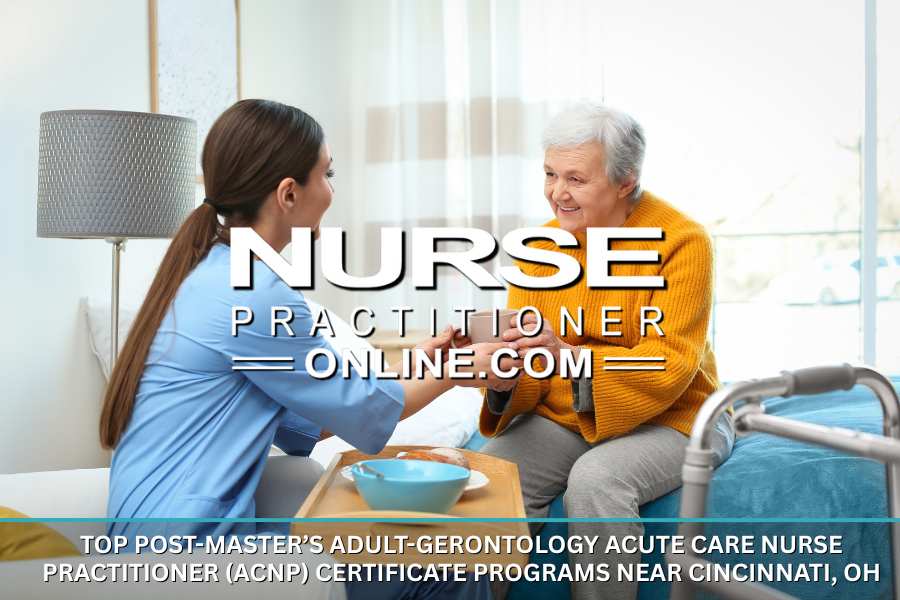 A nurse practitioner meets with an elderly patient in a patient care room.