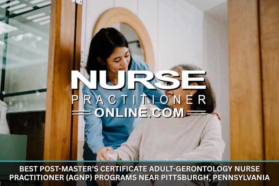 A adult-gerontology nurse practitioner works with an older patient in her home.