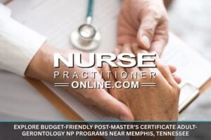 Post-Master’s Certificate Adult-Gerontology NP Programs near Memphis, Tennessee