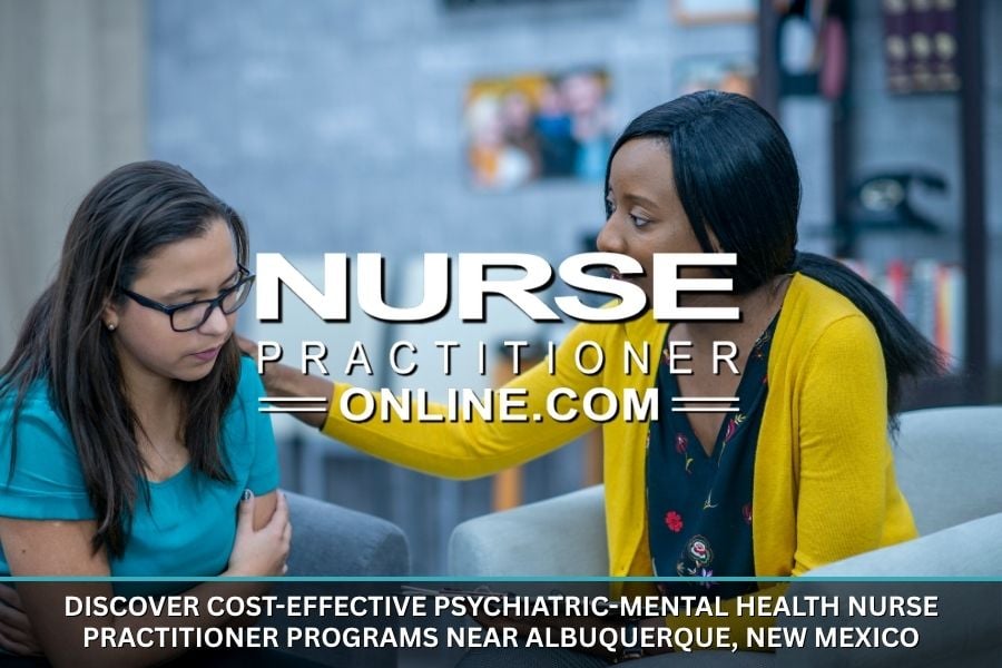 A PMHNP meets with an adult patient in a medical office setting.