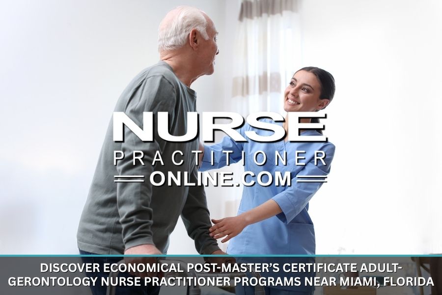 An adult-gerontology nurse practitioner works with an elderly patient.