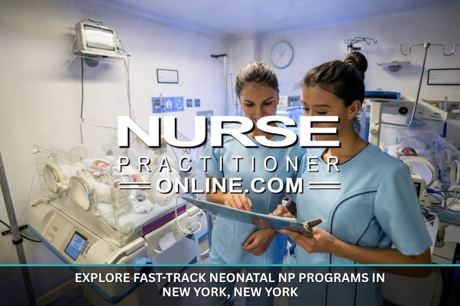 Two neonatal nurse practitioners chart updates on their patients in a hospital.