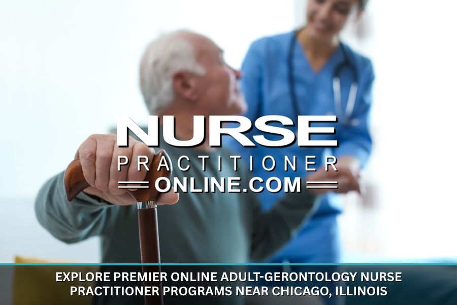 An adult-gerontology nurse practitioner works with an elderly patient.
