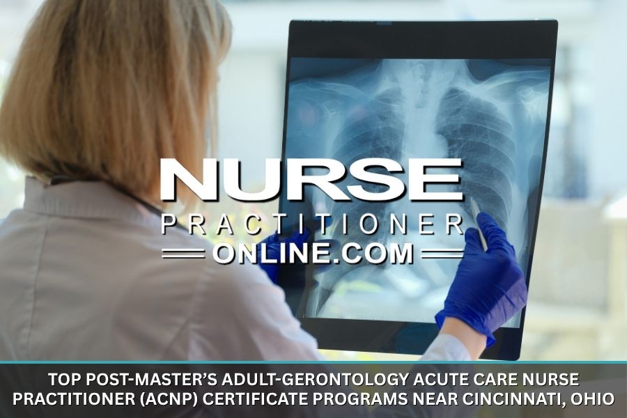 A nurse practitioner examines an X-ray of a patient's chest.