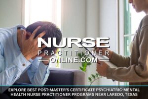 Best Post-Master’s Certificate Psychiatric-Mental Health Nurse Practitioner Programs Near Laredo, Texas