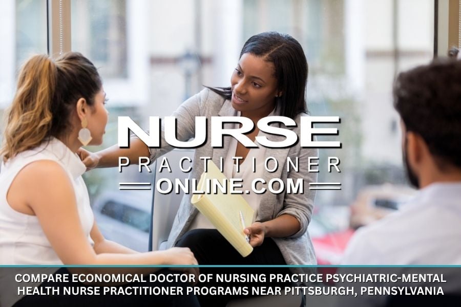 Economical Doctor of Nursing Practice Psychiatric-Mental Health Nurse Practitioner Programs Near Pittsburgh, Pennsylvania