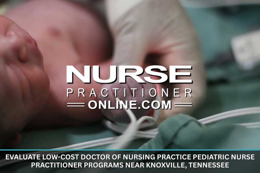 Low-Cost Doctor of Nursing Practice Pediatric Nurse Practitioner Programs Near Knoxville, Tennessee