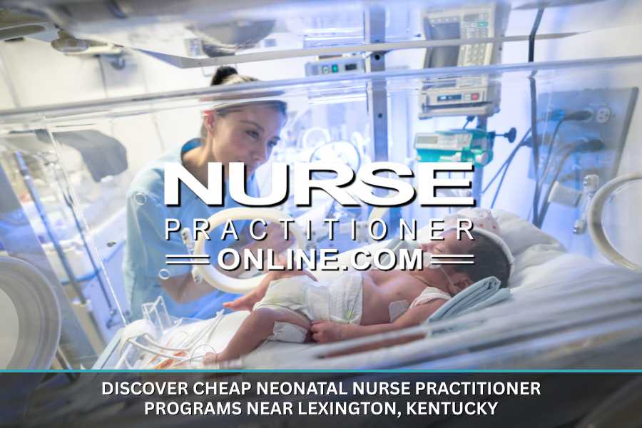 Cheap Neonatal Nurse Practitioner Programs Near Lexington, Kentucky