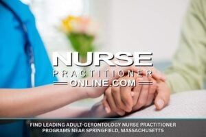Find Leading Adult-Gerontology Nurse Practitioner Programs Near Springfield, Massachusetts