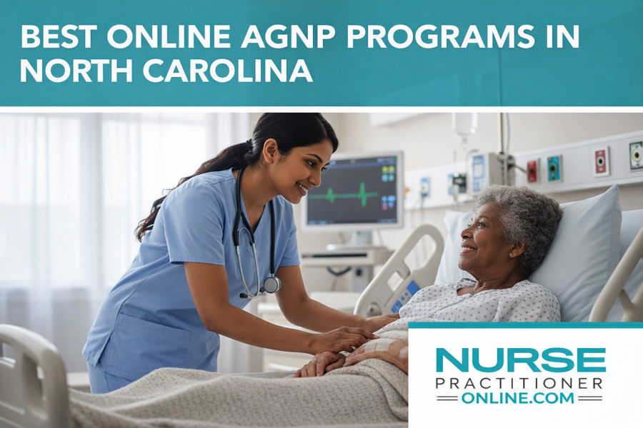 Adult Gerontology NP tending to an elderly patient in the hospital