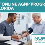 Best Online AGNP Programs in Florida