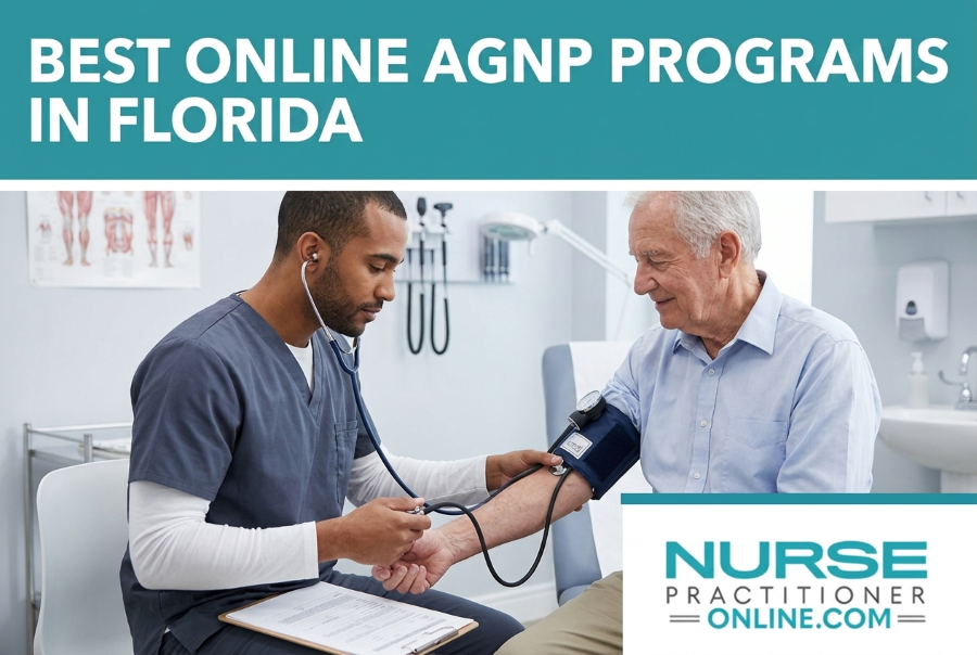 Best Online AGNP Programs in Florida