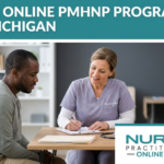 Best Online PMHNP Programs in Michigan