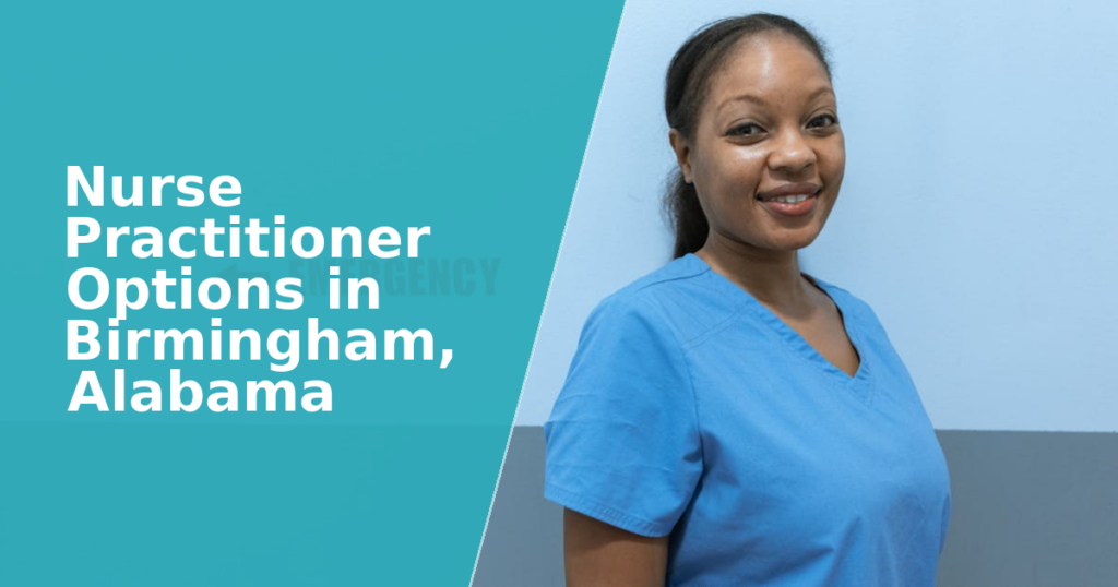 Best Nurse Practitioner Programs in Birmingham, AL (2026 ...