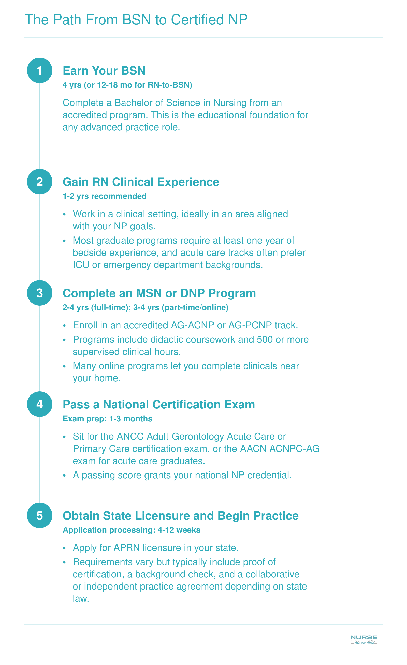 Five-step credentialing timeline from BSN through RN experience, MSN program, national certification, and state licensure to NP practice