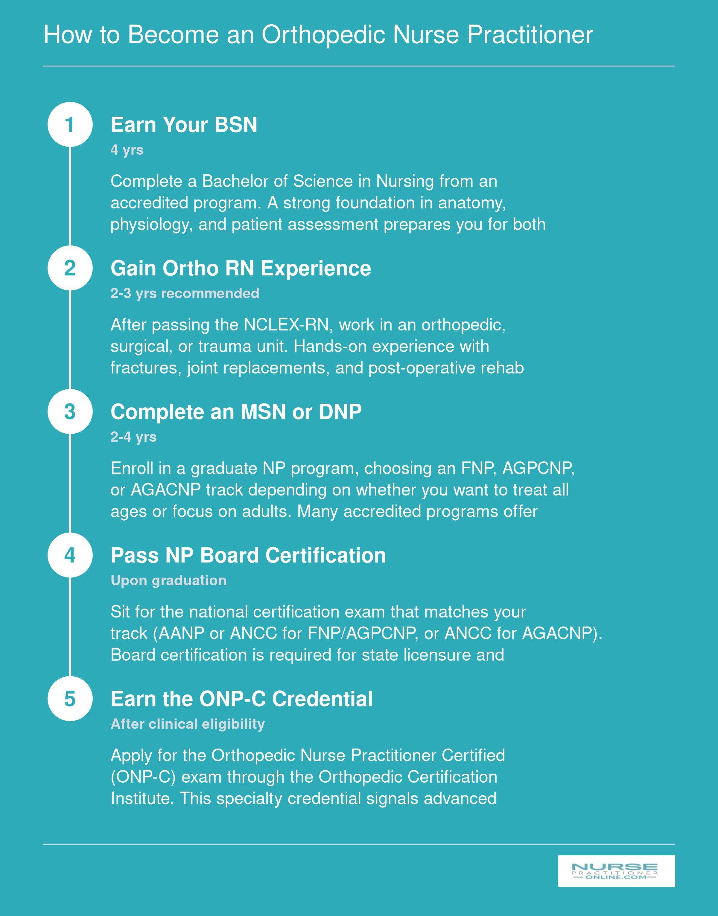 Five-step pathway from BSN through RN orthopedic experience, graduate NP degree, board certification, and ONP-C specialty certification, spanning 8 to 12 years total