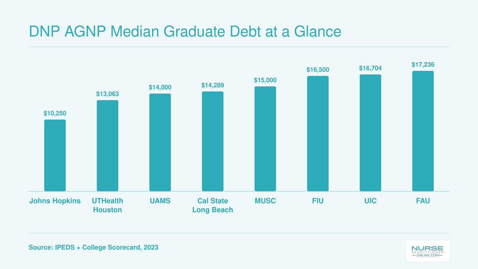 Median federal graduate debt at eight DNP AGNP programs ranging from $10,250 at Johns Hopkins to $17,236 at Florida Atlantic University