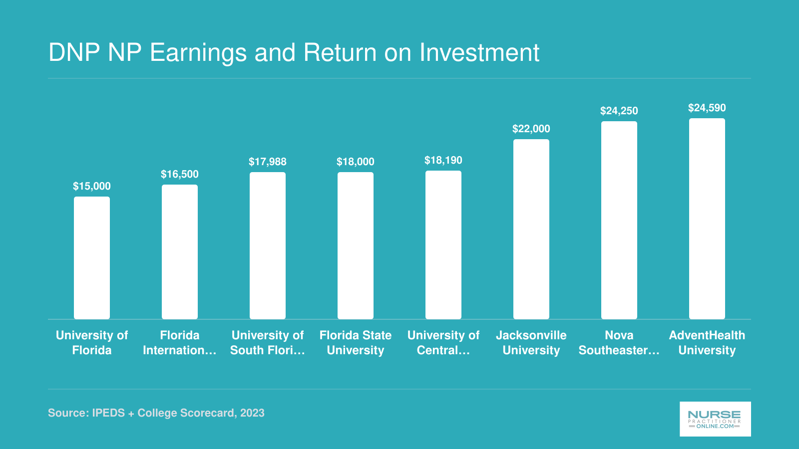 DNP NP Earnings and Return on Investment
