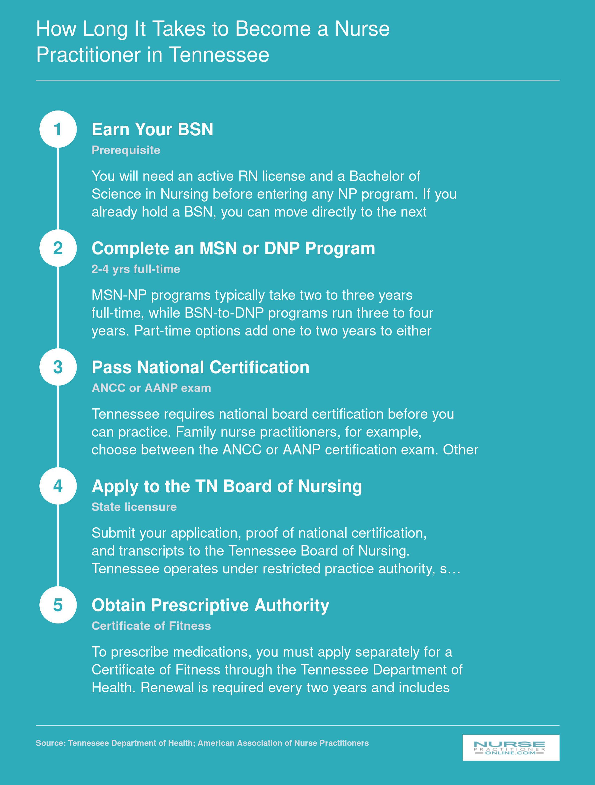 Five-step timeline from BSN through Tennessee NP licensure, spanning 2 to 5 or more years depending on degree and enrollment pace