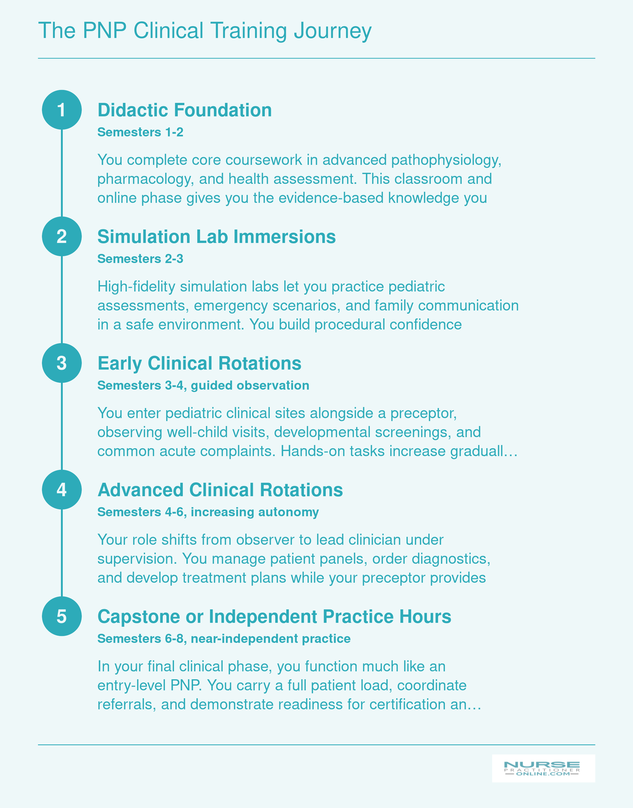 Five-stage PNP clinical training progression from didactic coursework through capstone practice across six to eight semesters