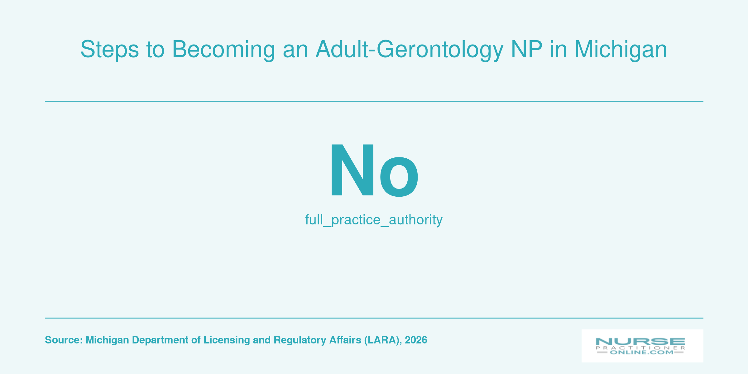 Steps to Becoming an Adult-Gerontology NP in Michigan