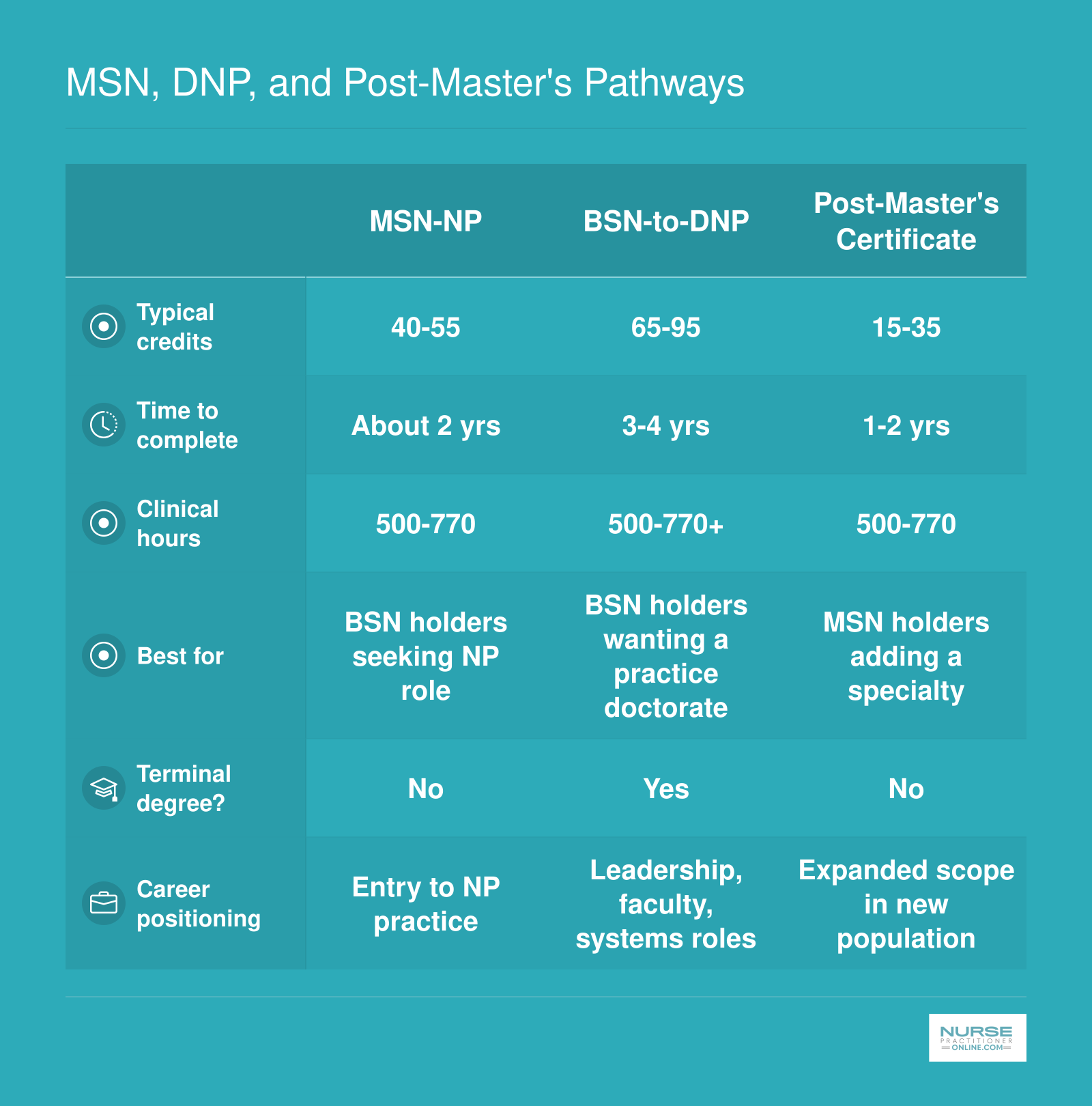 Side-by-side comparison of MSN, BSN-to-DNP, and post-master's certificate NP pathways across credits, duration, clinical hours, and career fit