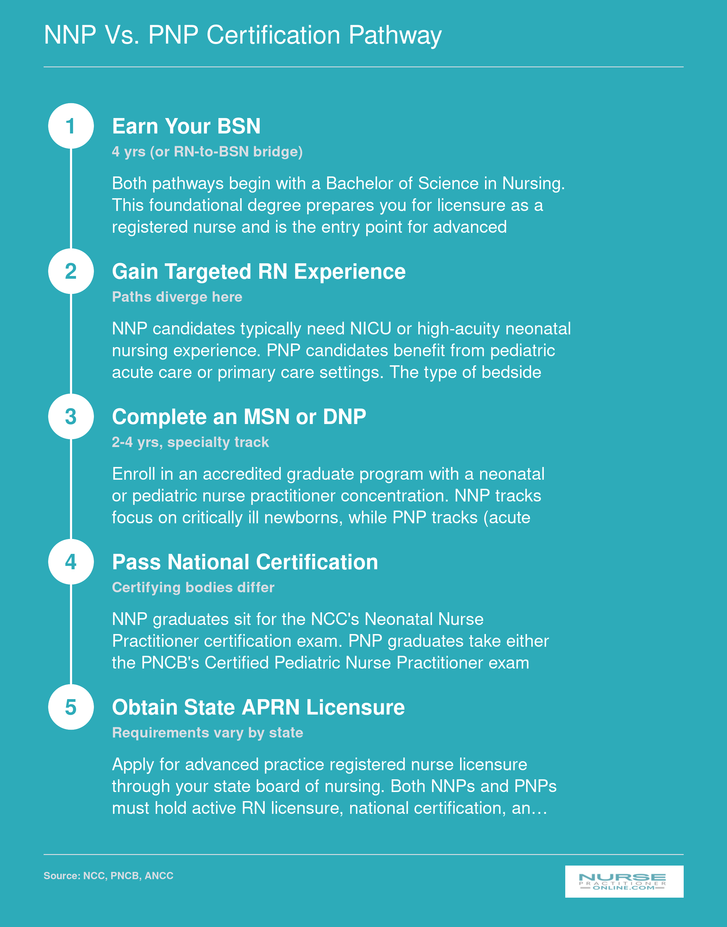Five-step credentialing ladder from BSN through APRN licensure comparing where NNP and PNP paths diverge in experience, program track, and certifying body