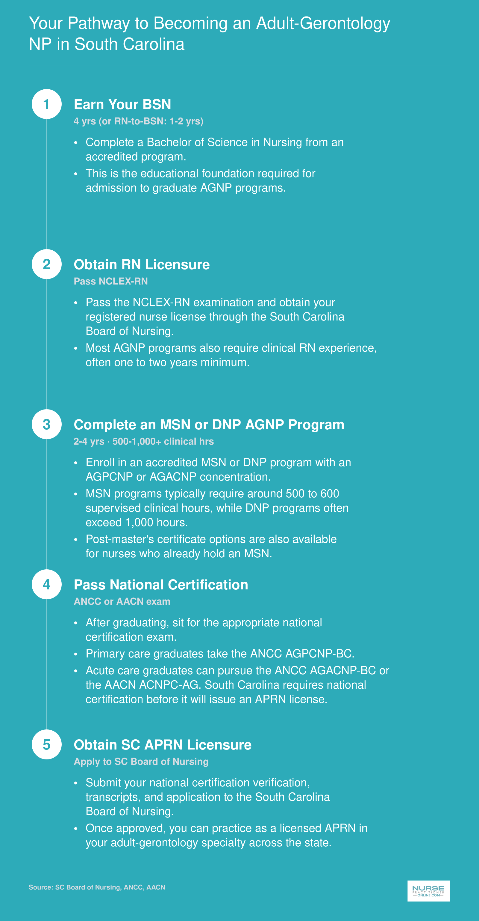 Five-step credentialing pathway from BSN through APRN licensure for adult-gerontology nurse practitioners in South Carolina