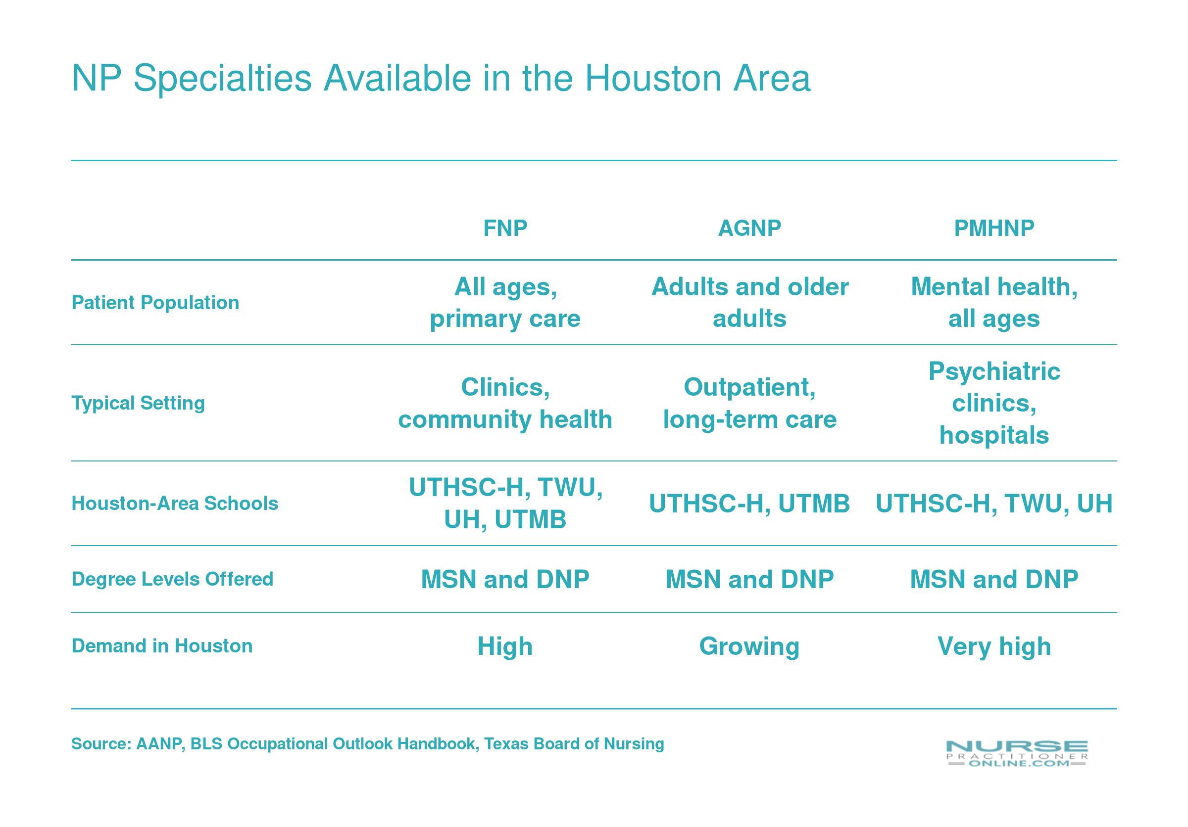 Comparison of six NP specialty tracks by patient population, practice setting, Houston-area school availability, and local demand