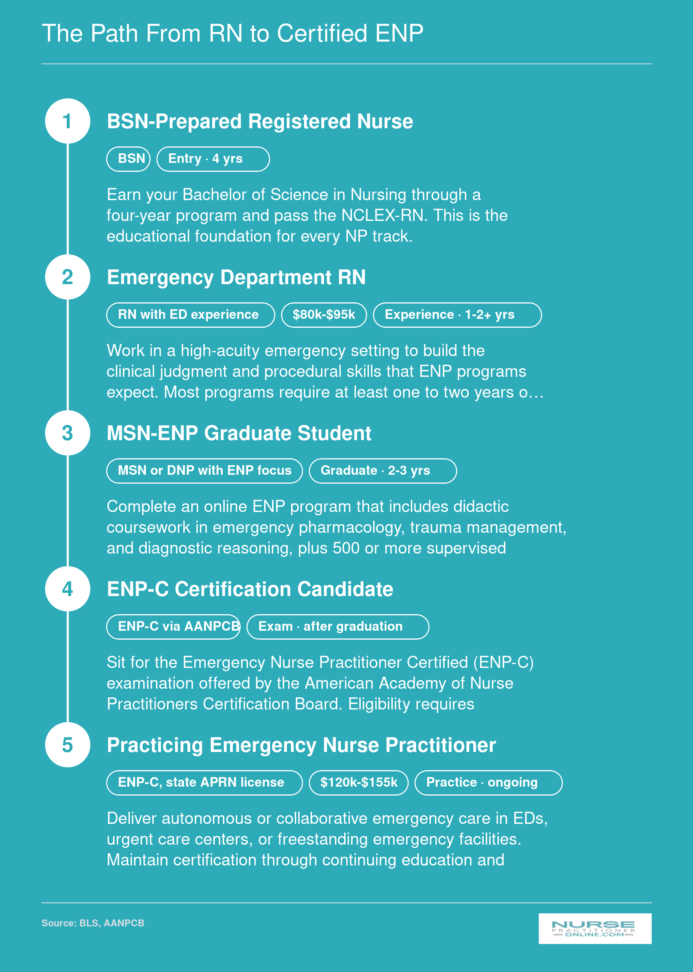 Five-step career progression from BSN through ED nursing experience, MSN-ENP program, ENP-C certification exam, to practicing emergency nurse practitioner, spanning roughly 8 to 12 years