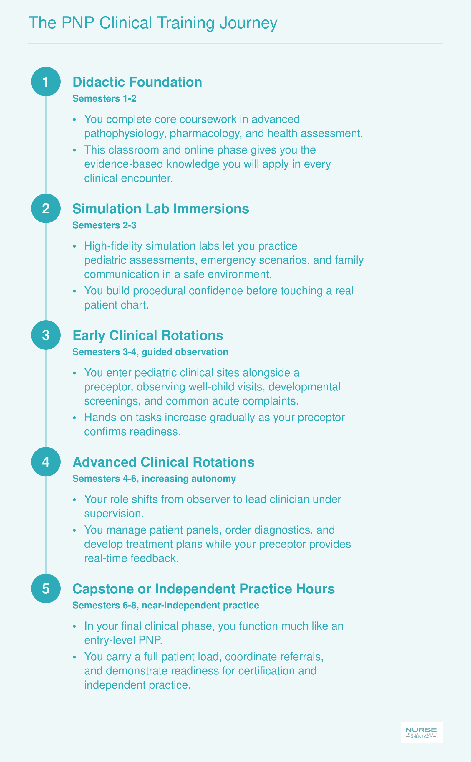 Five-stage PNP clinical training progression from didactic coursework through capstone practice across six to eight semesters