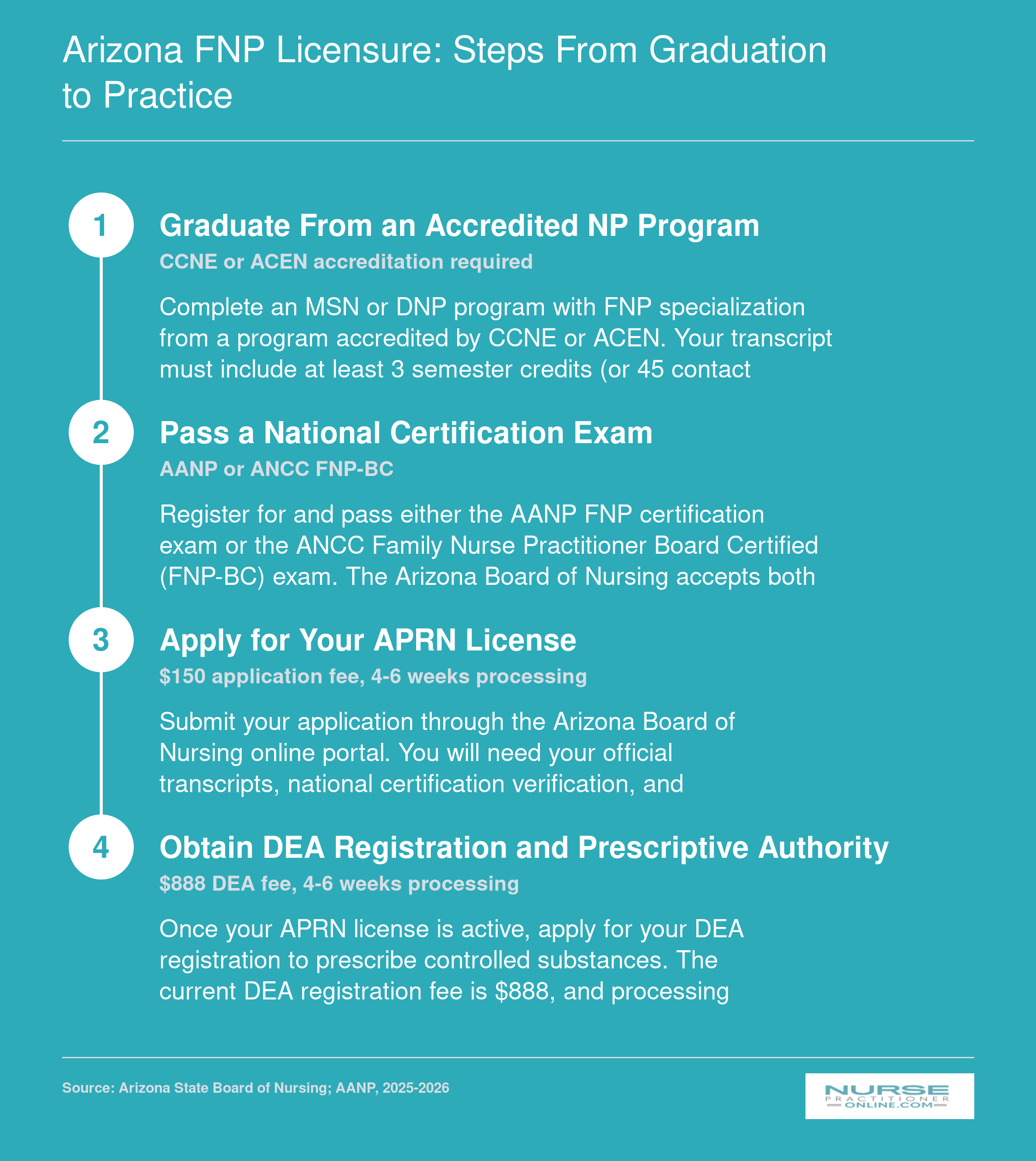 Four-step Arizona FNP licensure process from program graduation through DEA registration, with fees and processing timelines for 2025-2026