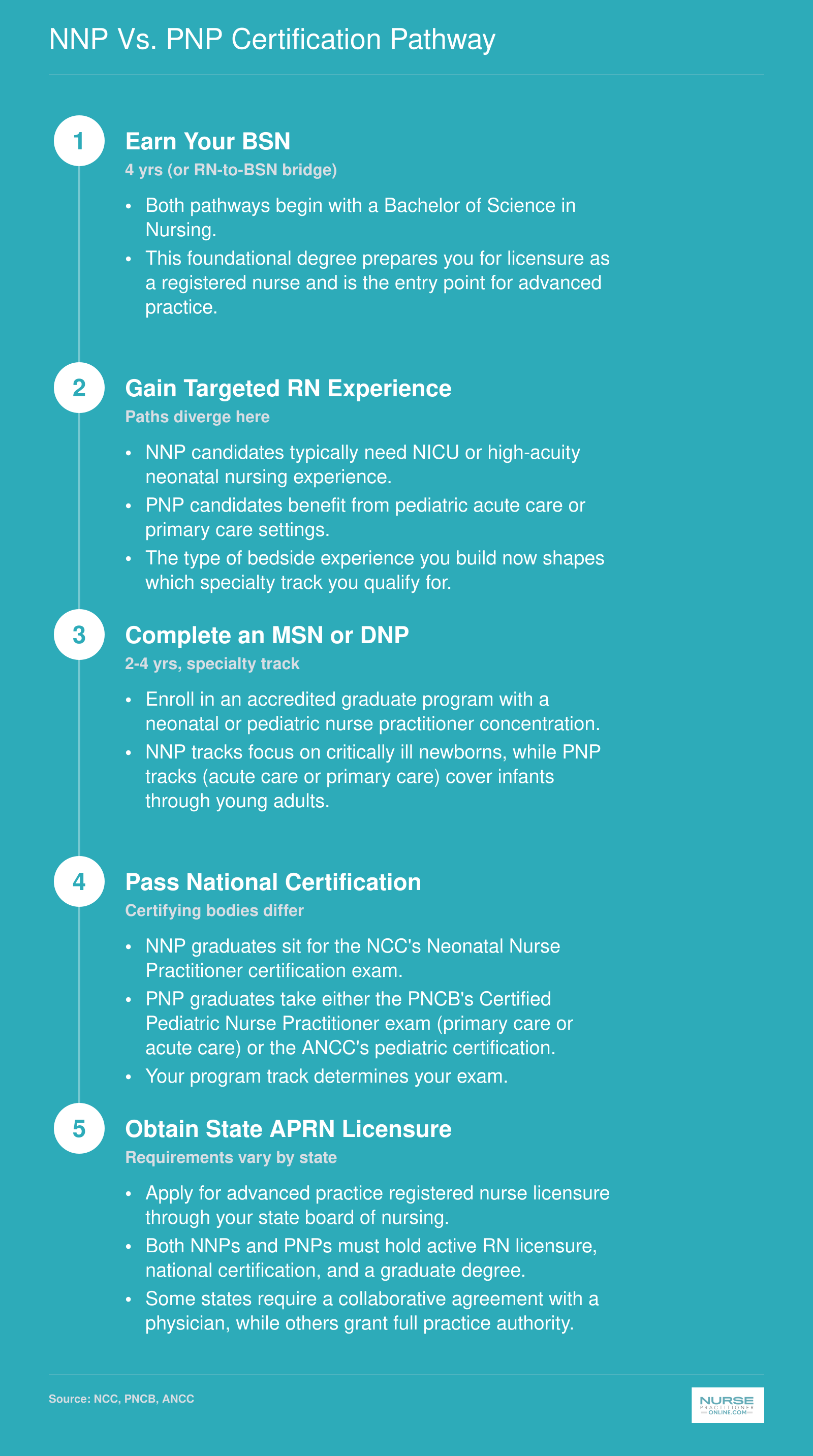 Five-step credentialing ladder from BSN through APRN licensure comparing where NNP and PNP paths diverge in experience, program track, and certifying body