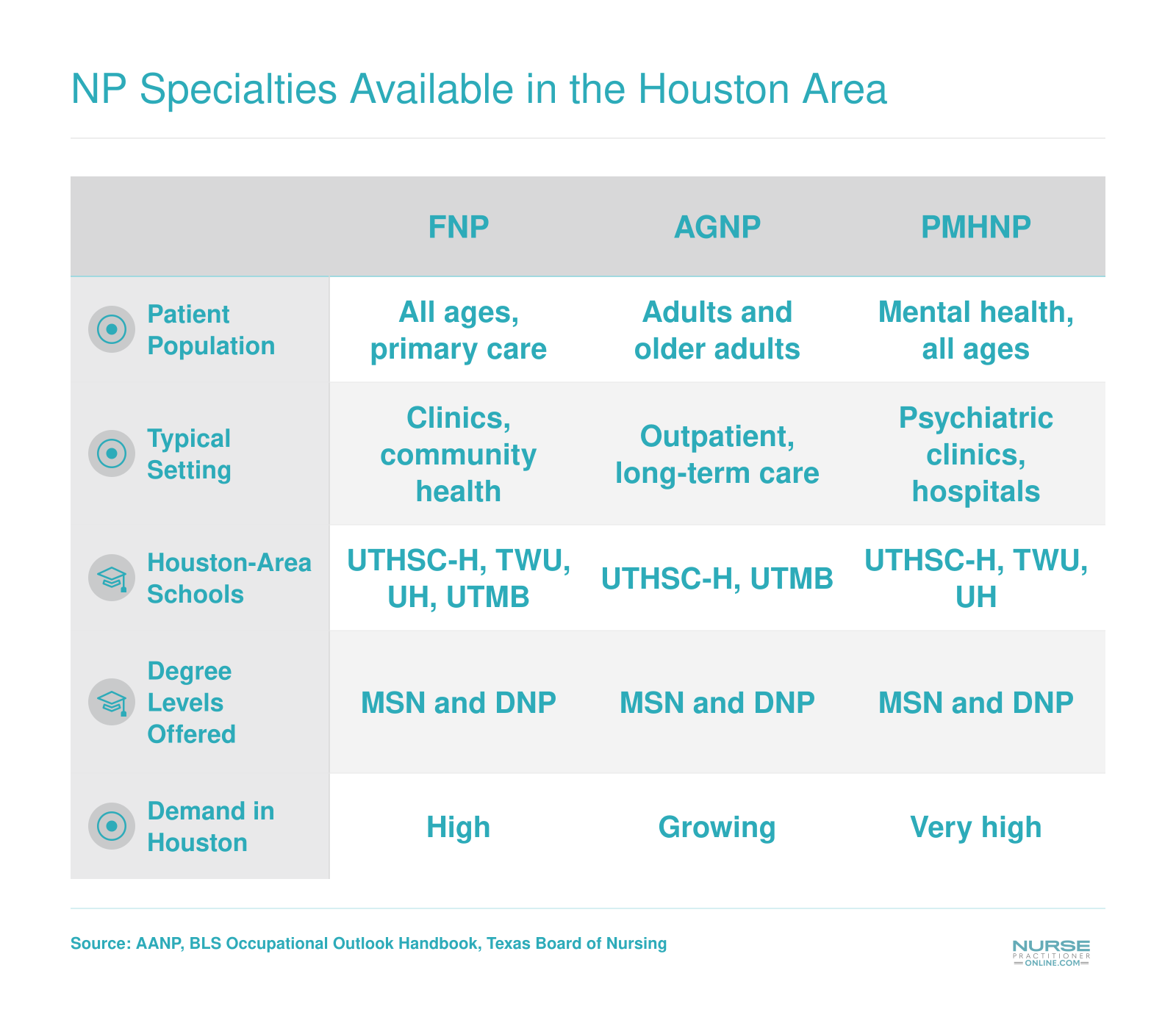 Comparison of six NP specialty tracks by patient population, practice setting, Houston-area school availability, and local demand