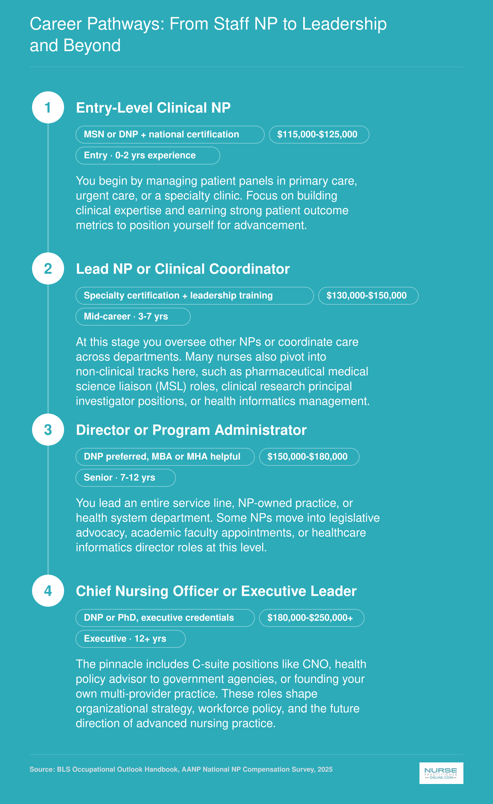 NP career progression from entry-level clinical NP through mid-career coordinator roles to advanced positions including CNO, policy advisor, and NP practice owner