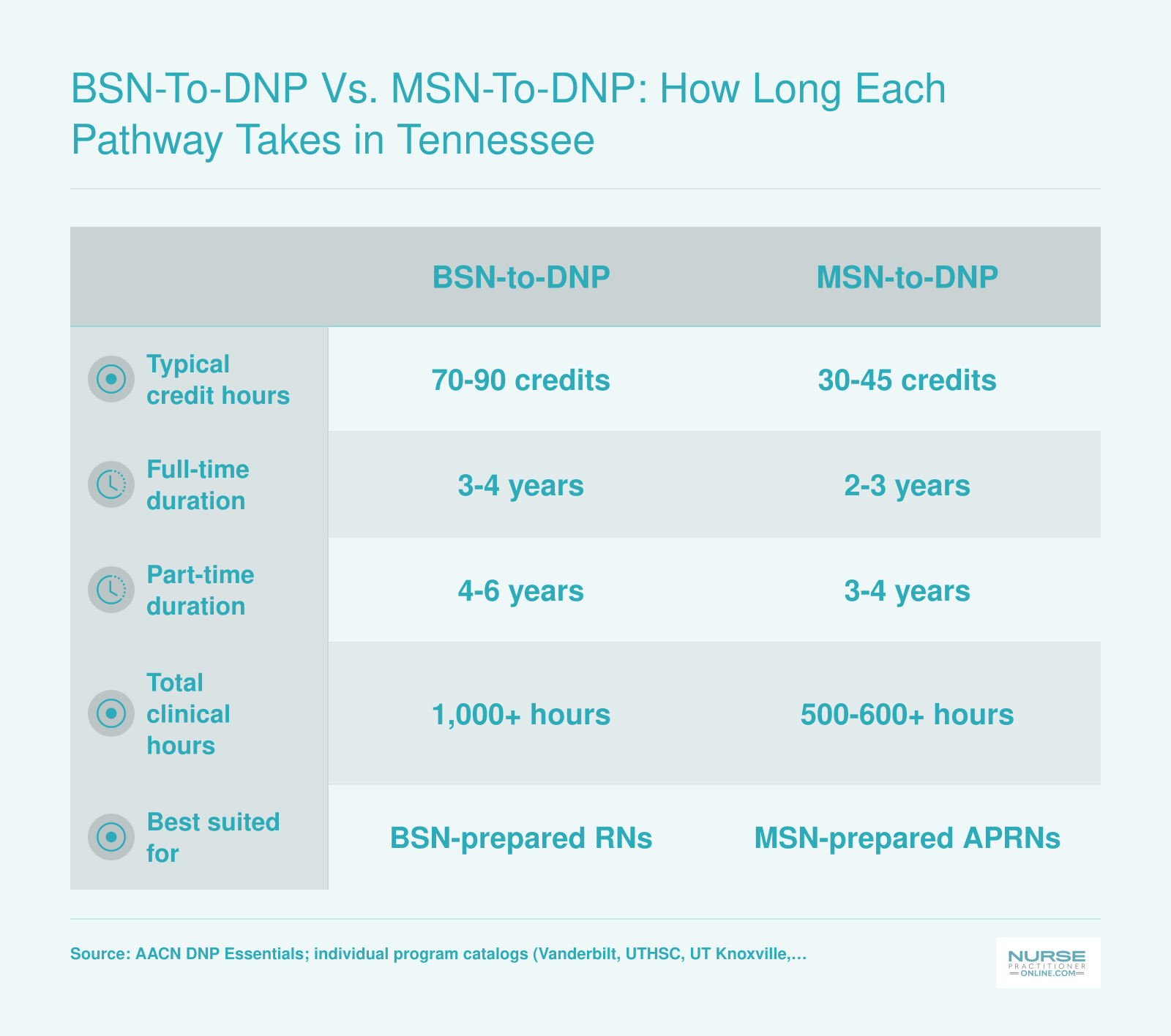 Comparison of BSN-to-DNP and MSN-to-DNP pathways showing credit hours, duration, and clinical hours at Tennessee programs