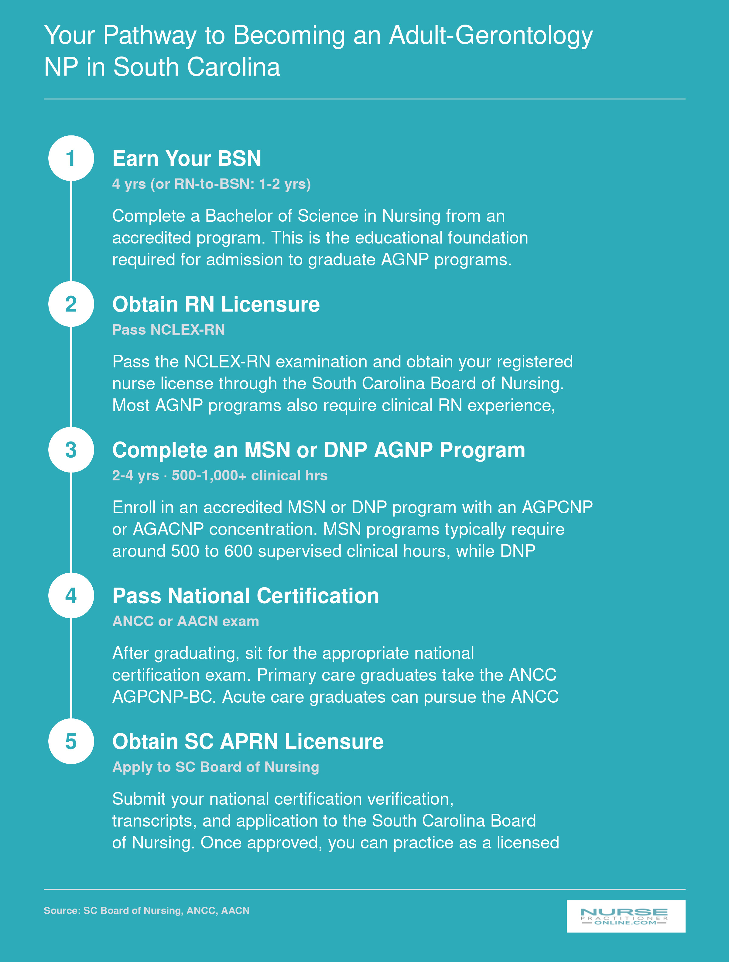 Five-step credentialing pathway from BSN through APRN licensure for adult-gerontology nurse practitioners in South Carolina