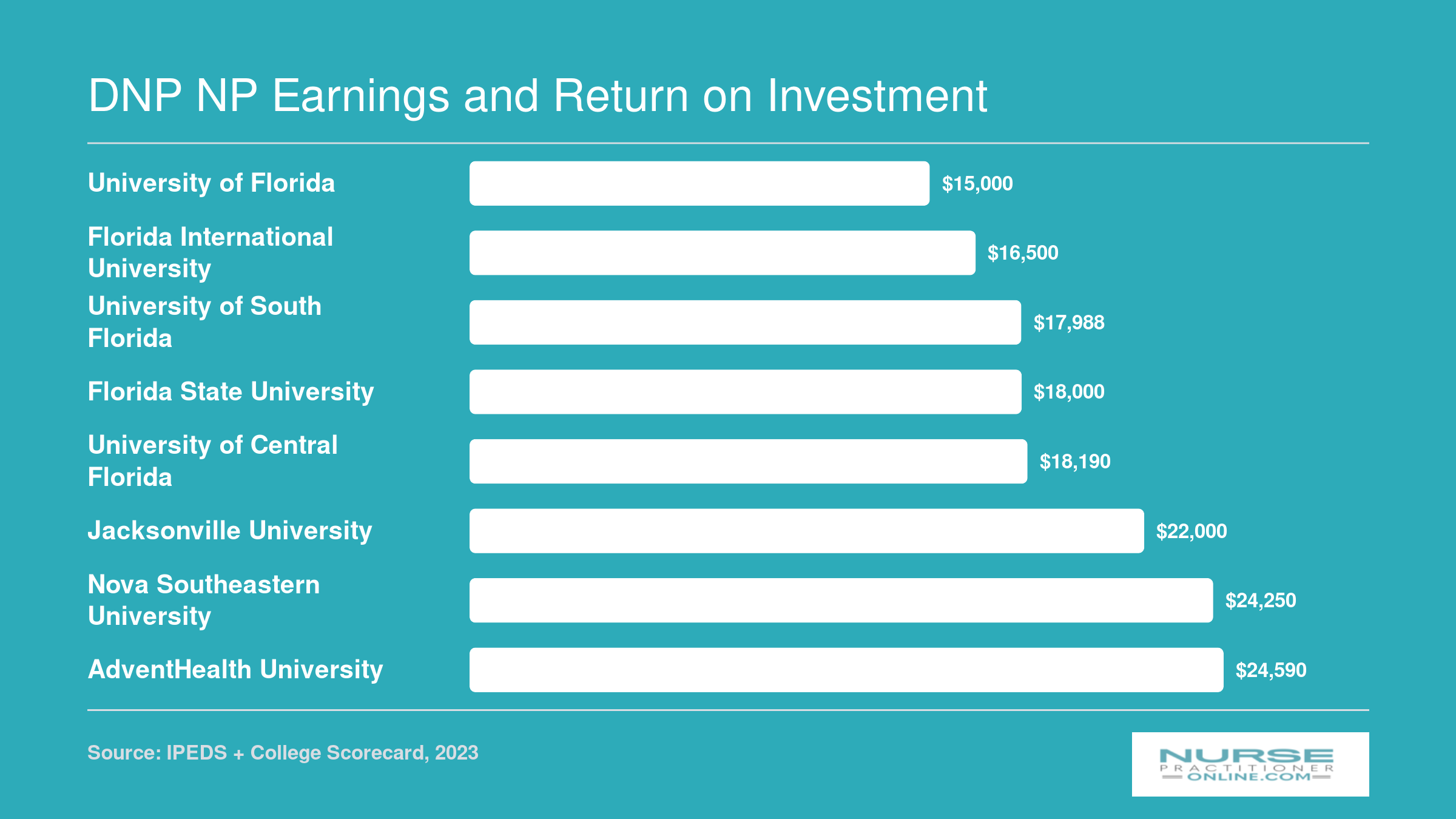DNP NP Earnings and Return on Investment
