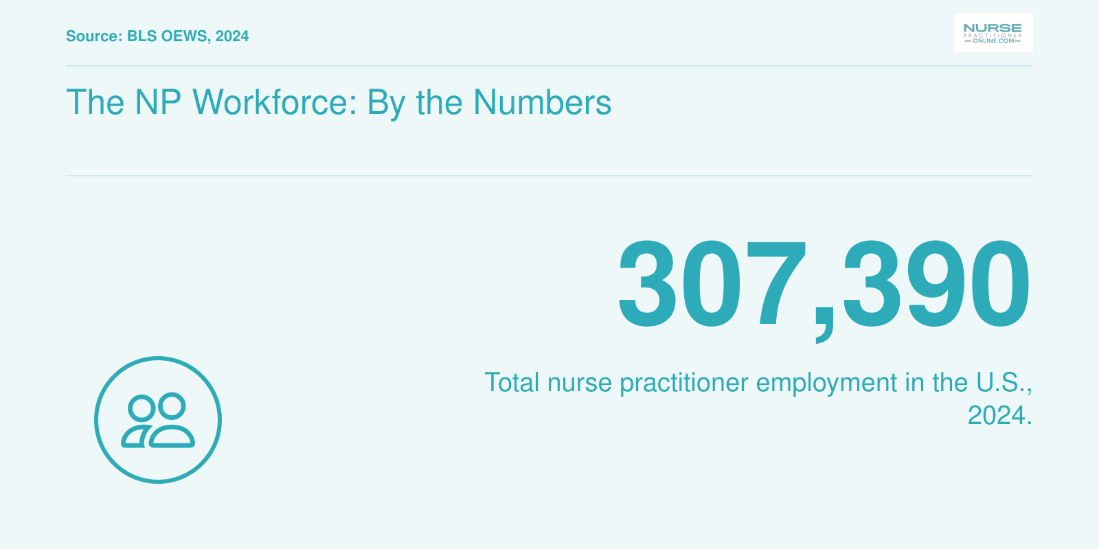 Over 307,000 nurse practitioners employed in the U.S. in 2024, underscoring the need for a diverse workforce.