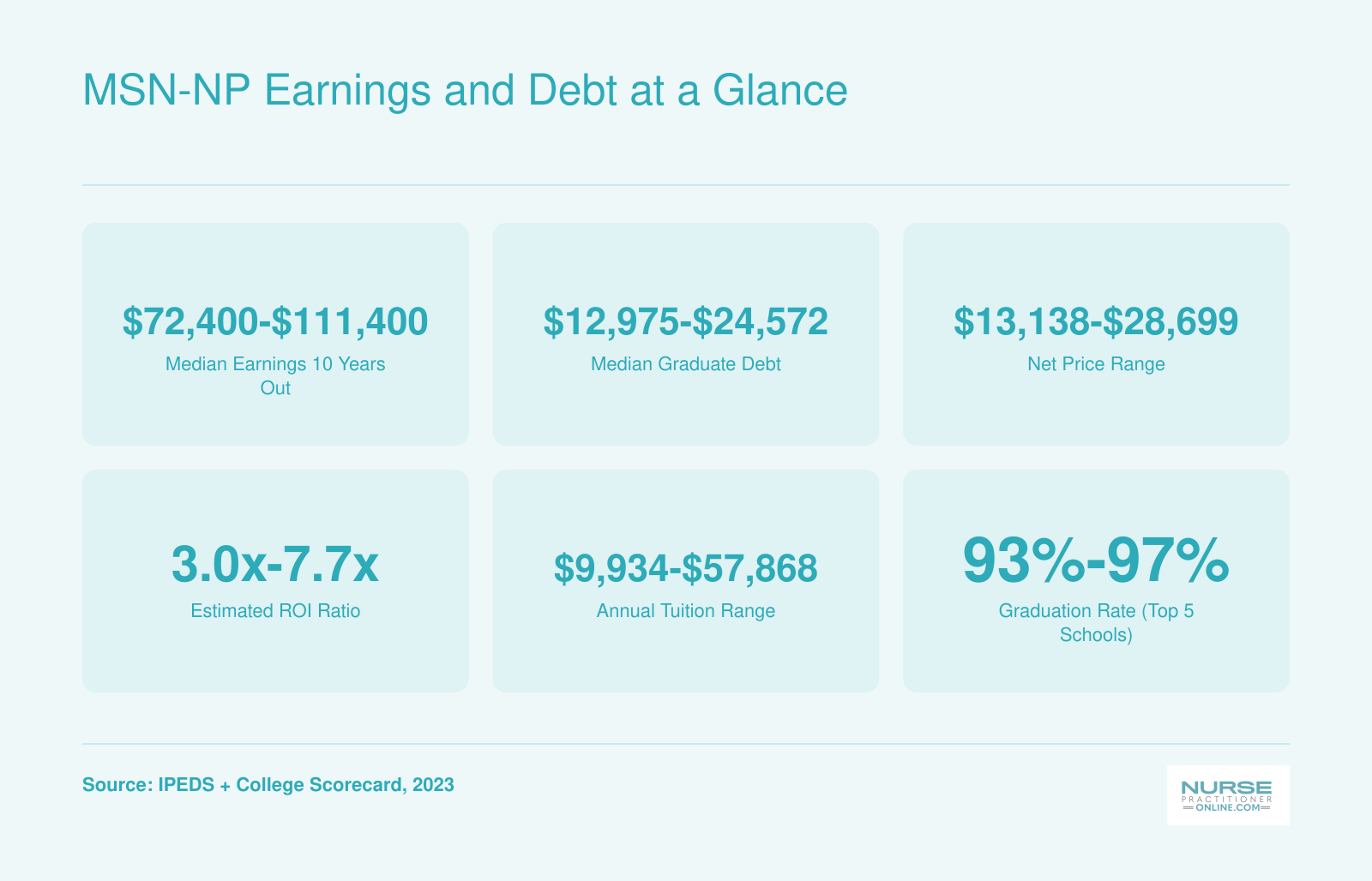 MSN-NP Earnings and Debt at a Glance
