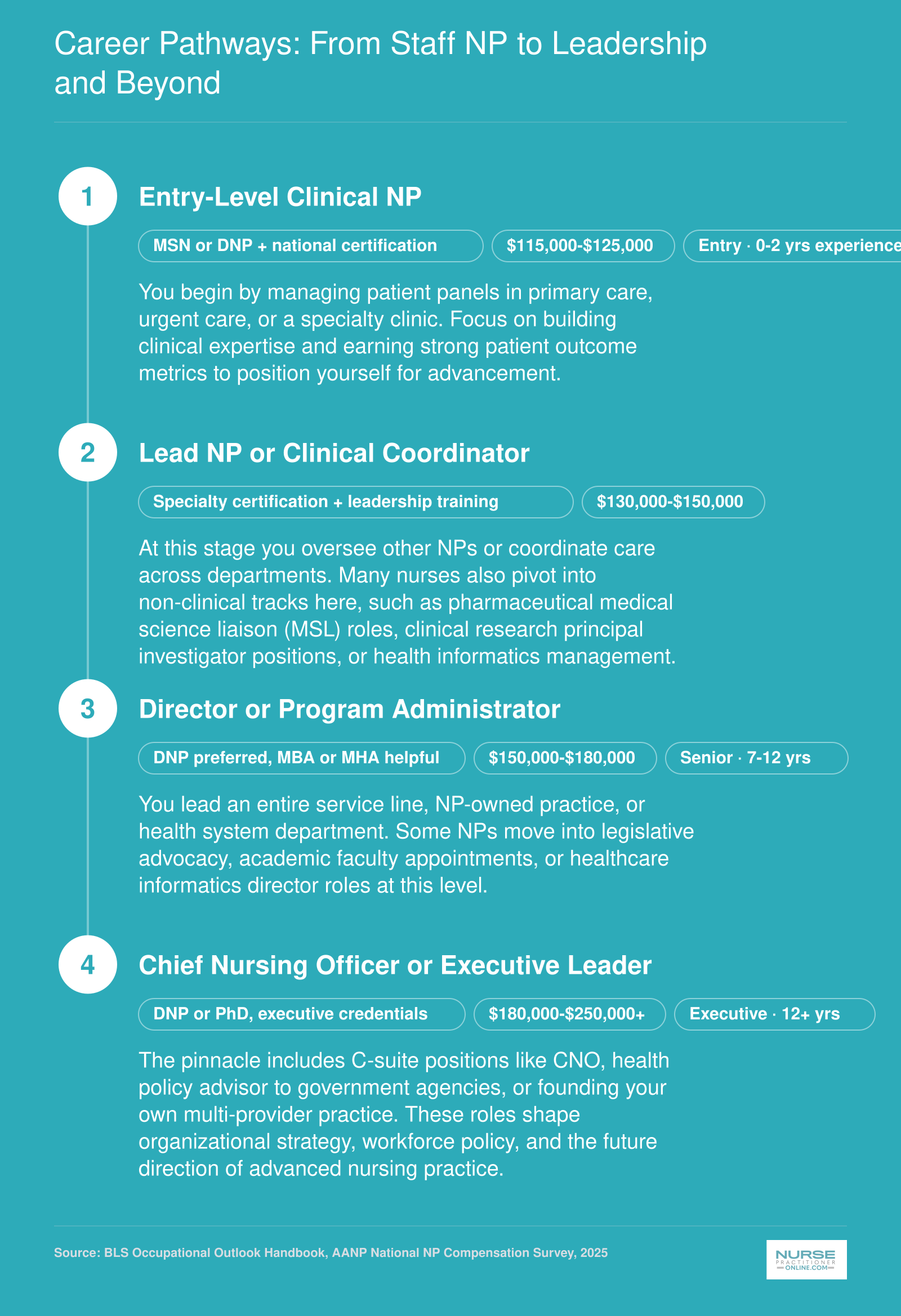 NP career progression from entry-level clinical NP through mid-career coordinator roles to advanced positions including CNO, policy advisor, and NP practice owner