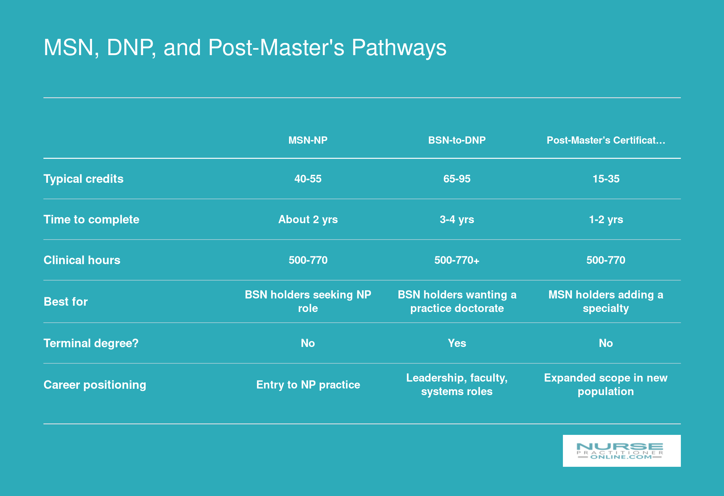 Side-by-side comparison of MSN, BSN-to-DNP, and post-master's certificate NP pathways across credits, duration, clinical hours, and career fit