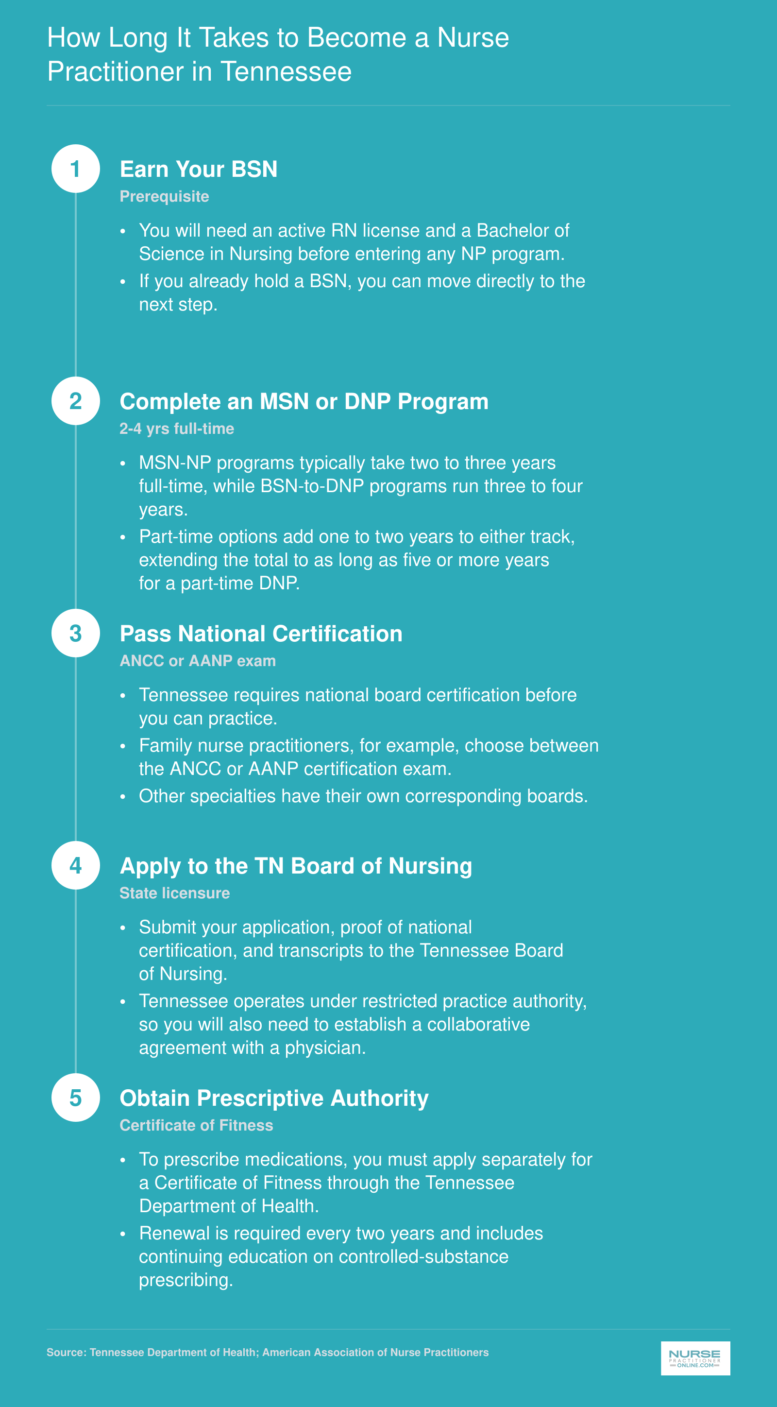 Five-step timeline from BSN through Tennessee NP licensure, spanning 2 to 5 or more years depending on degree and enrollment pace