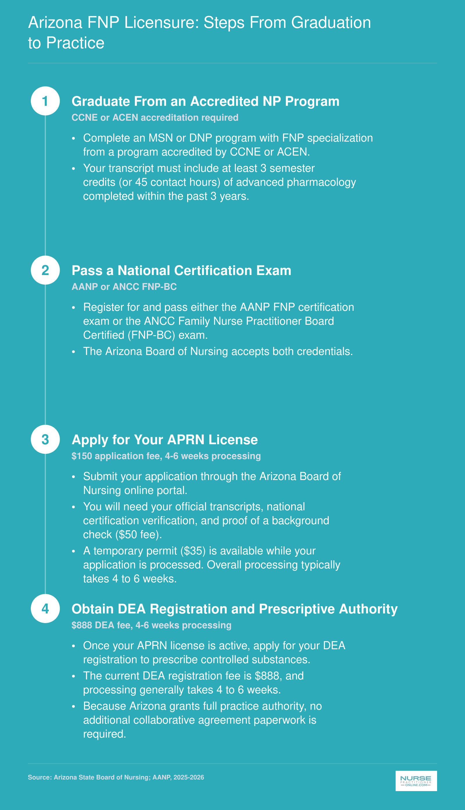 Four-step Arizona FNP licensure process from program graduation through DEA registration, with fees and processing timelines for 2025-2026