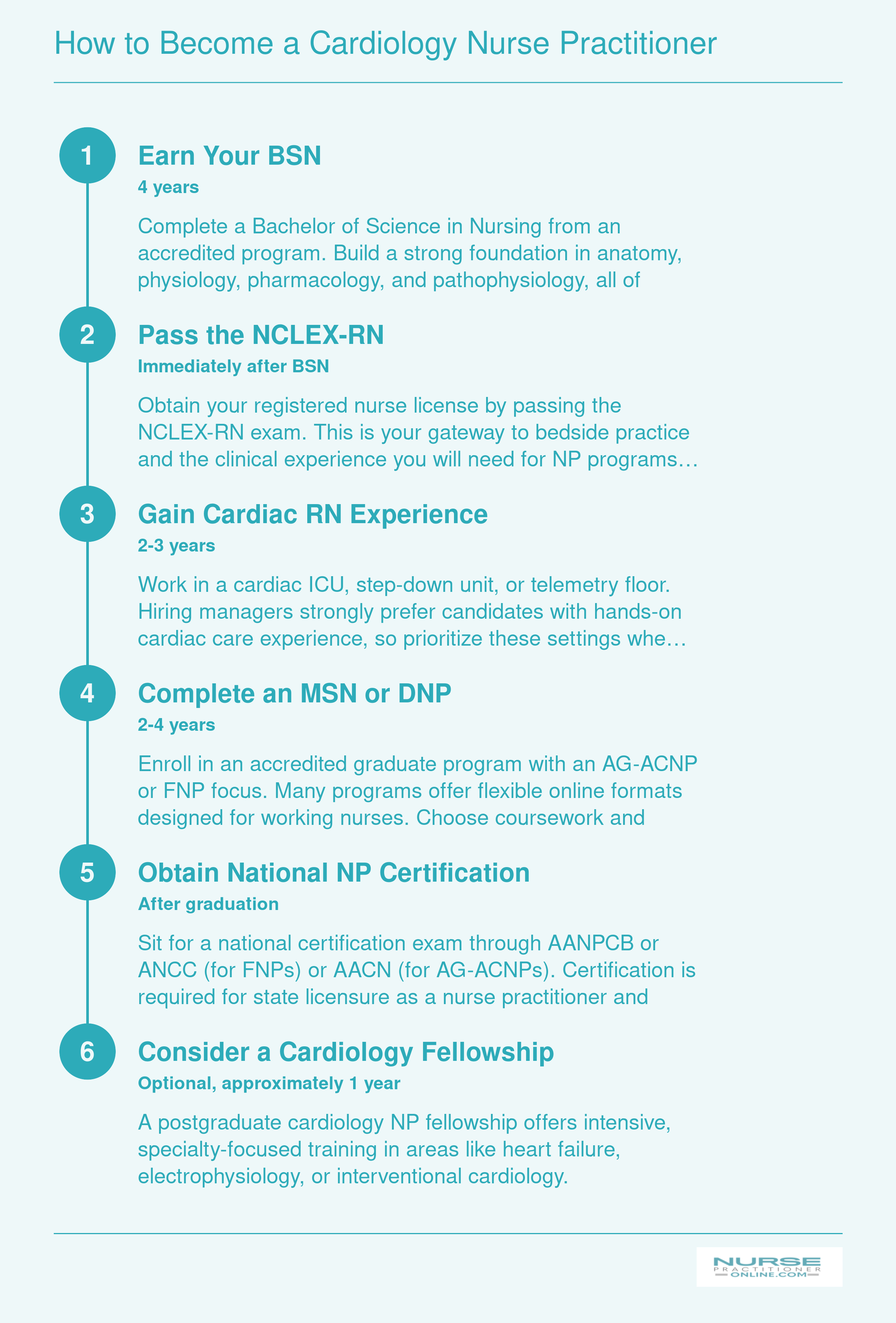 Six-step pathway from BSN through cardiology NP practice spanning roughly 8 to 11 years